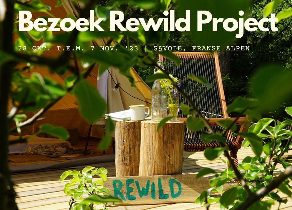 Met OAKED naar Rewild Project tijdens de Herfstvakantie | 28 oktober – 7 november