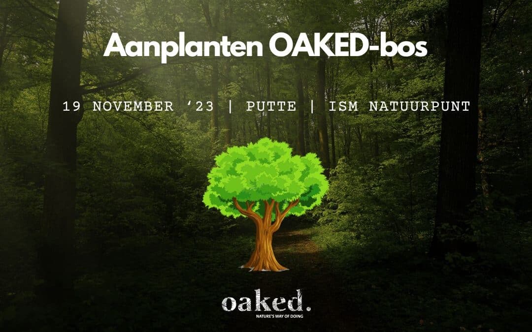 Aanplanten OAKED-bos | 19 november 2023