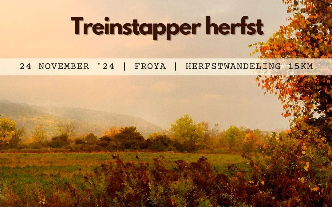 Treinstapper herfst | 24 november 2024