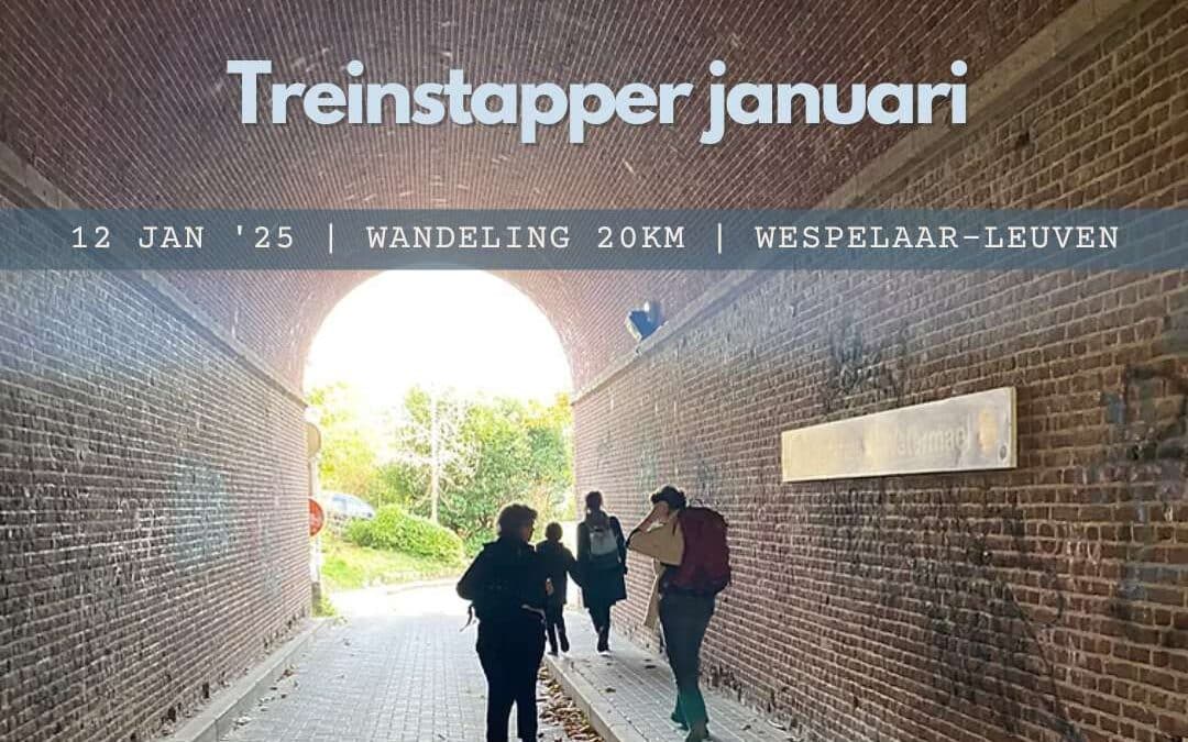 Treinstapper januari | 12 januari 2025