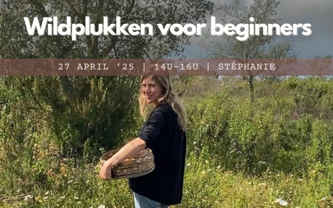 Wildplukken voor beginners | 27 april 2025