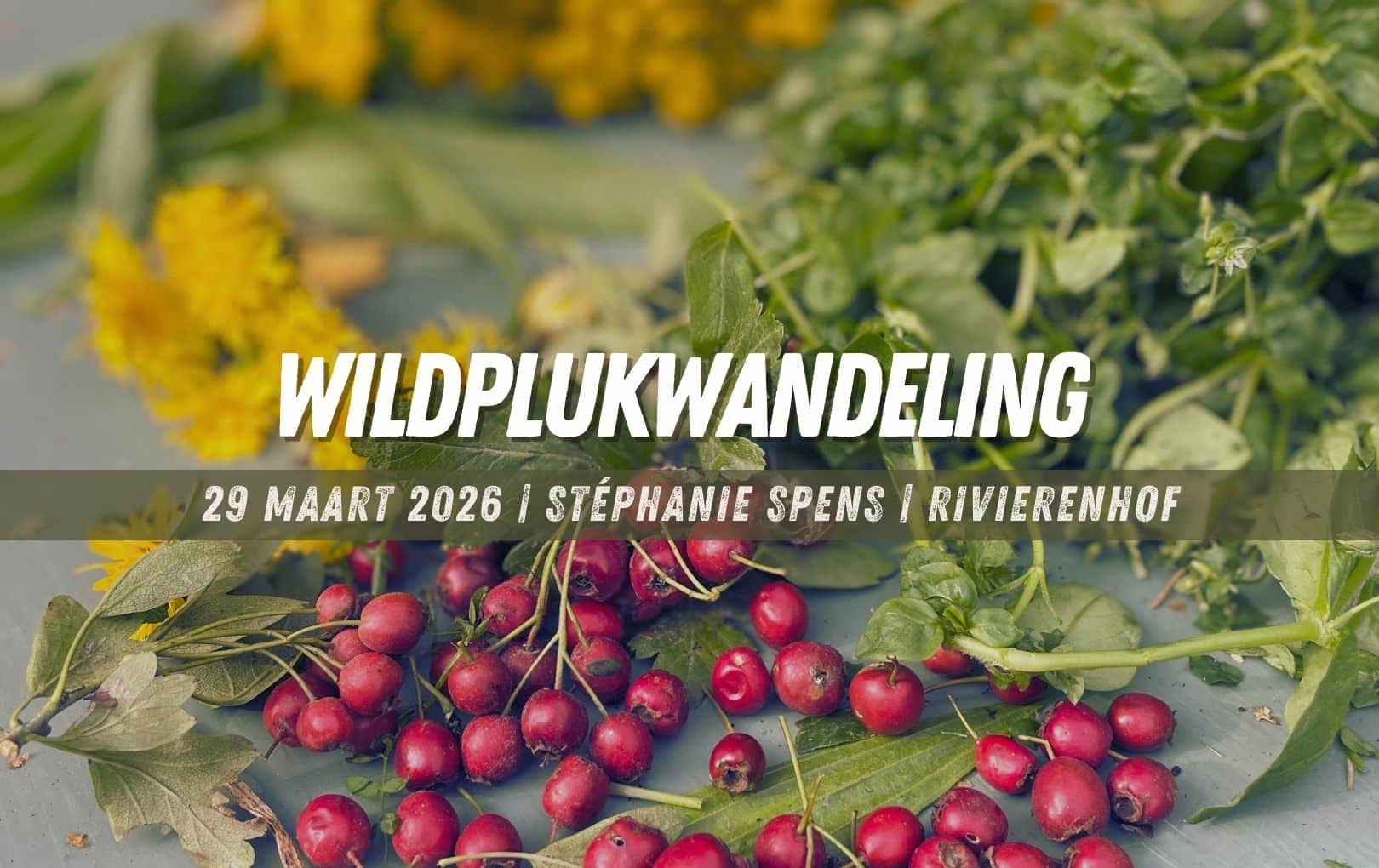 wildplukwandeling_2026_rivierenhof
