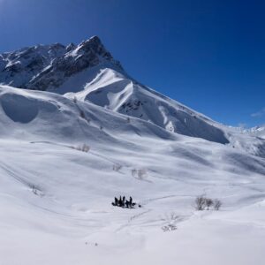 Winter Wildernis | 16 - 20 januari 2027